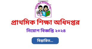 প্রাথমিক শিক্ষা অধিদপ্তর নিয়োগ বিজ্ঞপ্তি ২০২৪-Directorate of Primary Education DPE Job Circular 2024