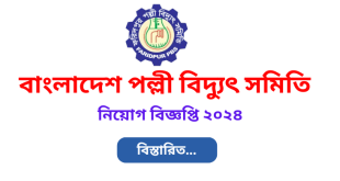 পল্লী বিদ্যুৎ নিয়োগ সার্কুলার ২০২৪-Palli Bidyut Job Circular 2024